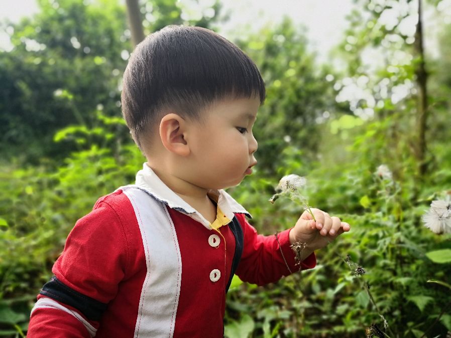 《童趣》攝影：黃靜芬.jpg